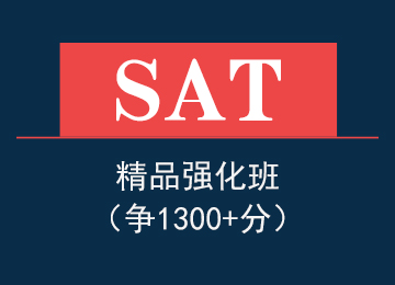 SAT精品强化班（争1350分）