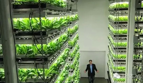 雅思听力考试素材