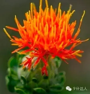 雅思听力考试素材
