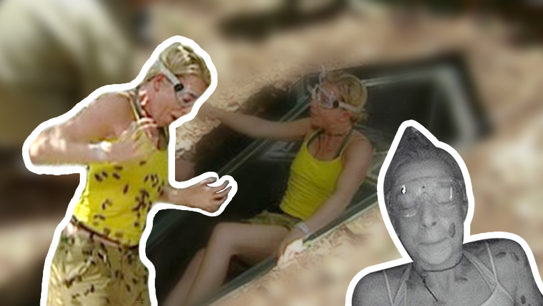 新航道V课堂|60S学英语：美女与两万只蟑螂同棺，结果如何?