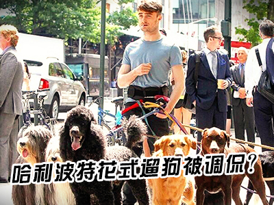 新航道V课堂|60S学英语：哈利波特花式遛狗被调侃