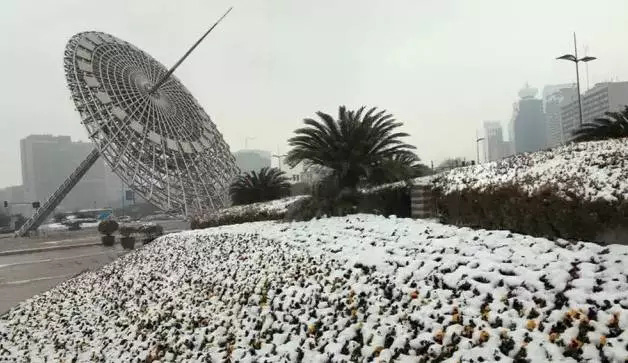 上海雪天