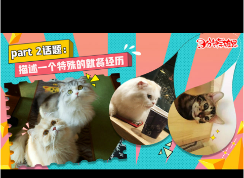 新航道V课堂|三分钟学雅思:超治愈的猫咪咖啡馆，好吃又好玩!