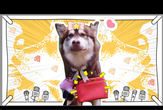 新航道V课堂|60S学英语:王思聪悬赏百万寻狗?放话整死就剁了你