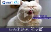 【60s学英语】APEC不放假，好心塞 